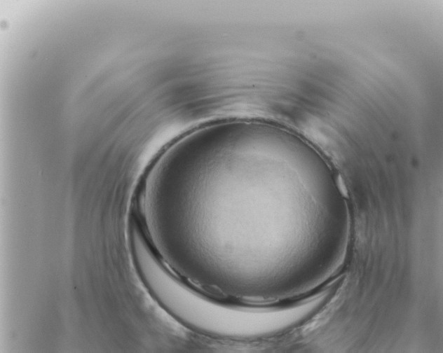 X0000088611334200706011218