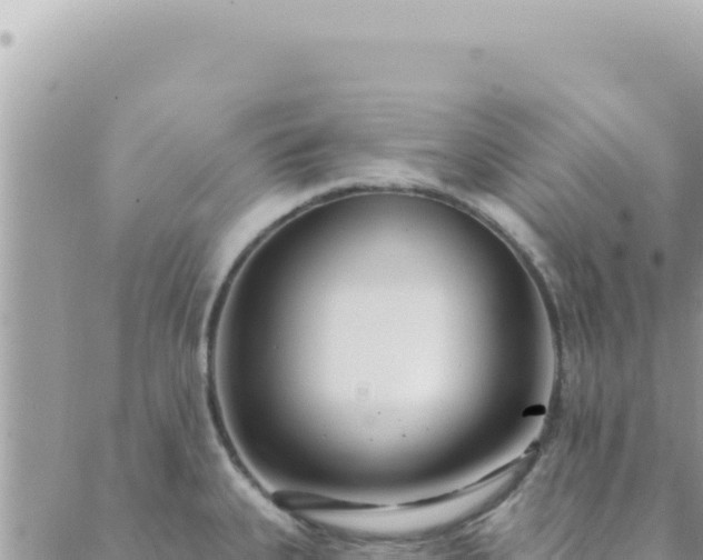 X0000088611335200706011218