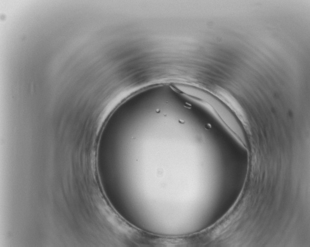 X0000088611340200706011218