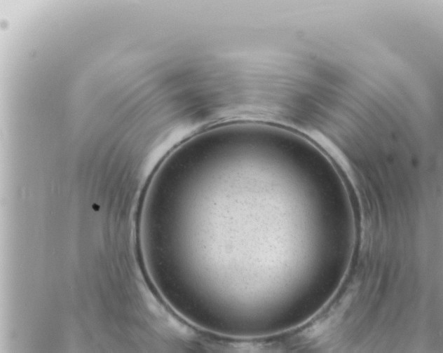 X0000088611341200706011218