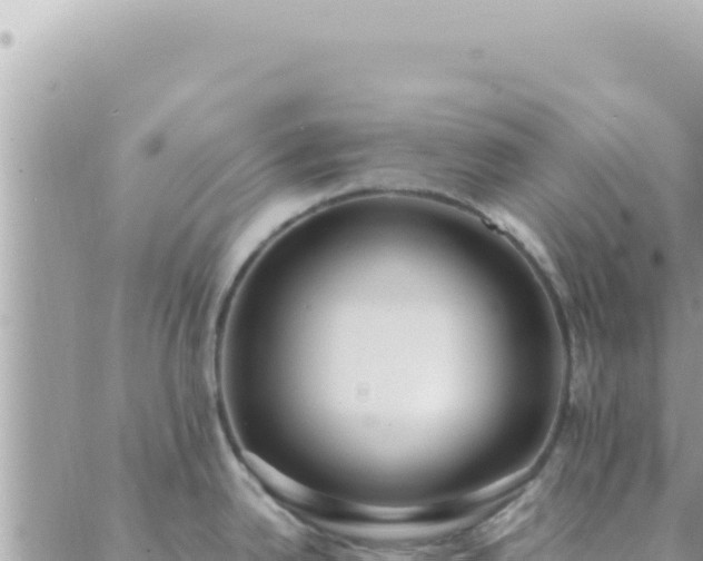 X0000088611342200706011218