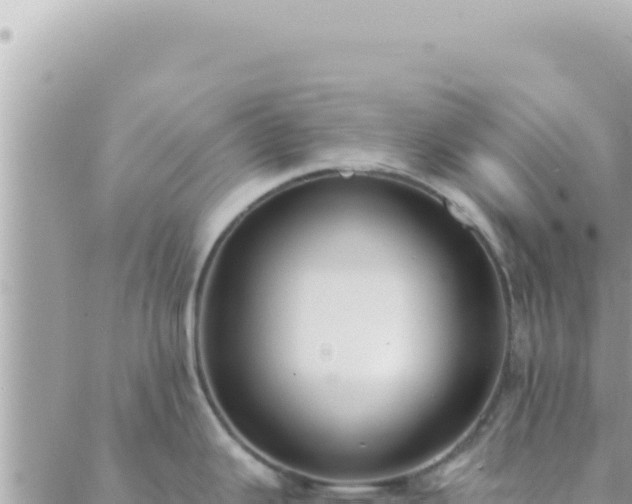 X0000088611343200706011218