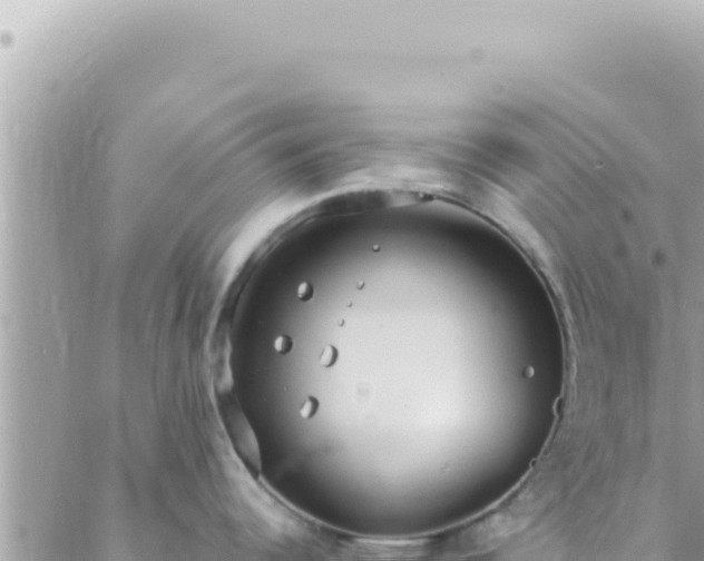 X0000088611344200706011218