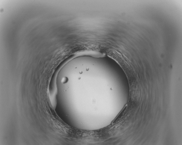 X0000088611345200706011217