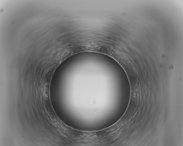 X0000088611346200706011217