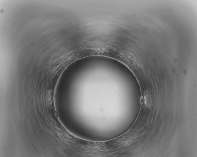 X0000088611347200706011217