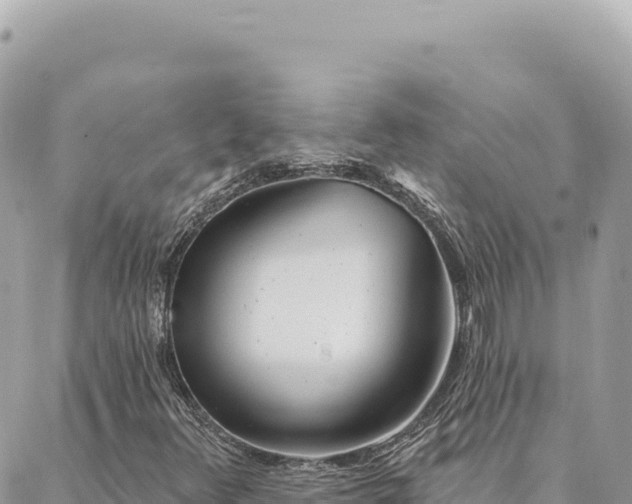 X0000088611348200706011217