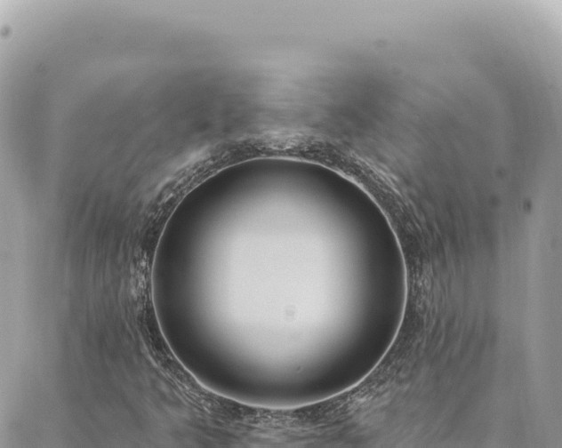 X0000088611349200706011217