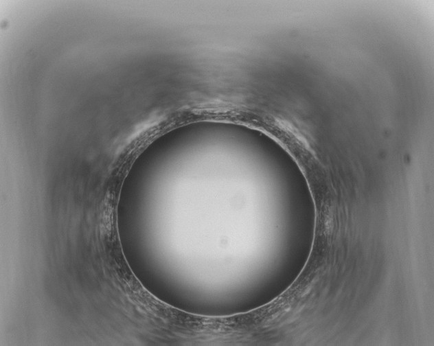 X0000088611350200706011217