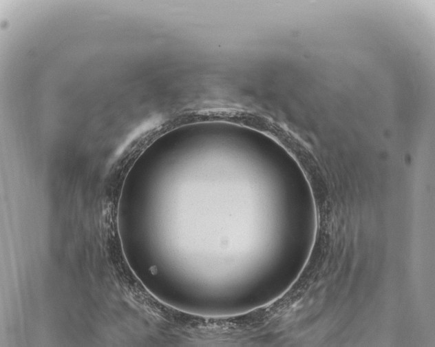 X0000088611351200706011217