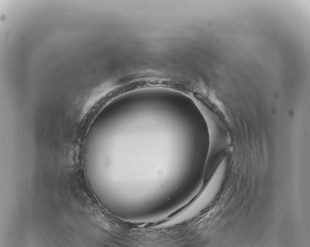 X0000088611352200706011217