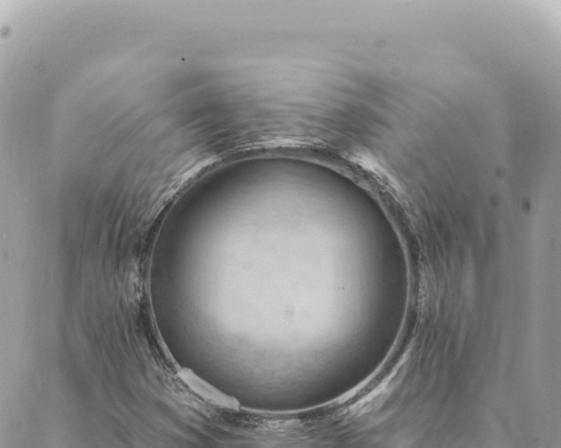 X0000088611353200706011217