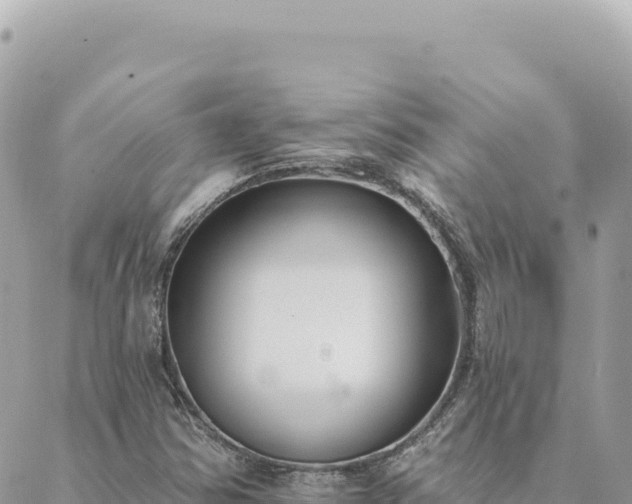 X0000088611354200706011217