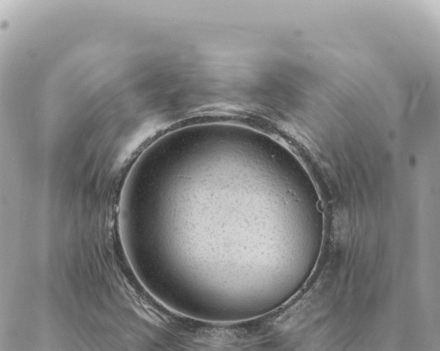 X0000088611355200706011217