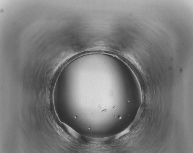 X0000088611356200706011217