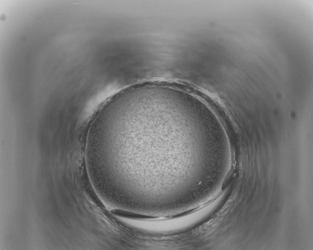 X0000088611359200706011217