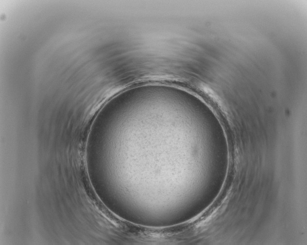 X0000088611361200706011217