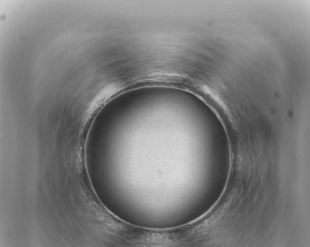 X0000088611362200706011217