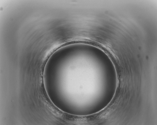 X0000088611363200706011217