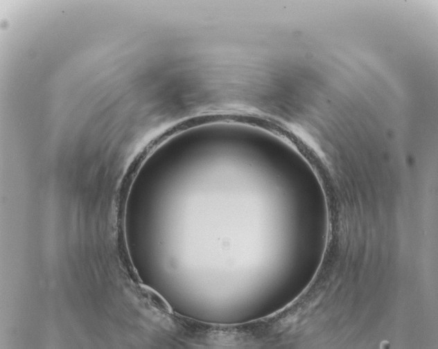 X0000088611364200706011217