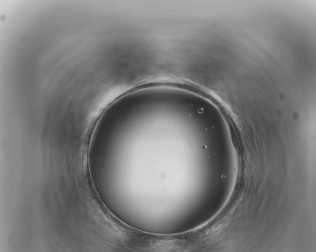 X0000088611367200706011217