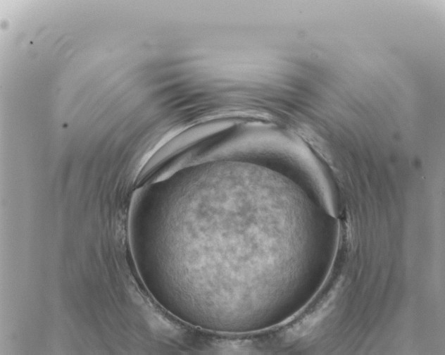 X0000088611369200706011217