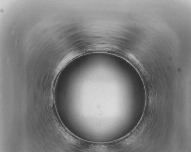 X0000088611370200706011217