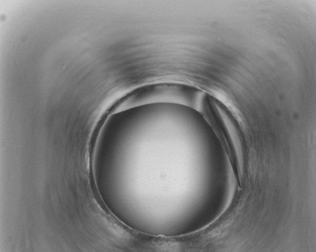 X0000088611372200706011217