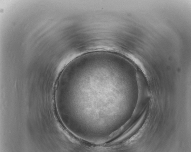 X0000088611373200706011217