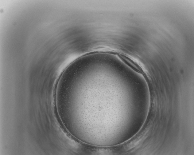 X0000088611375200706011217