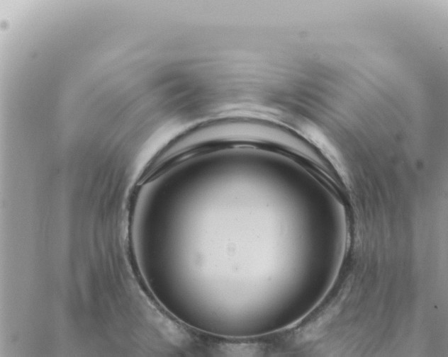 X0000088611376200706011217