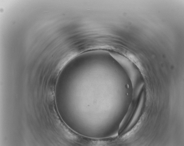 X0000088611377200706011217