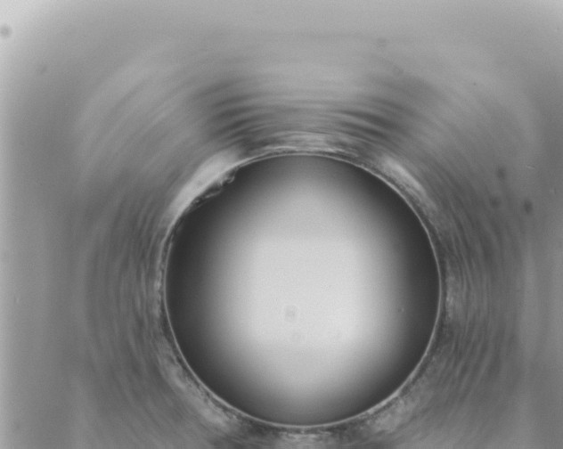 X0000088611378200706011217