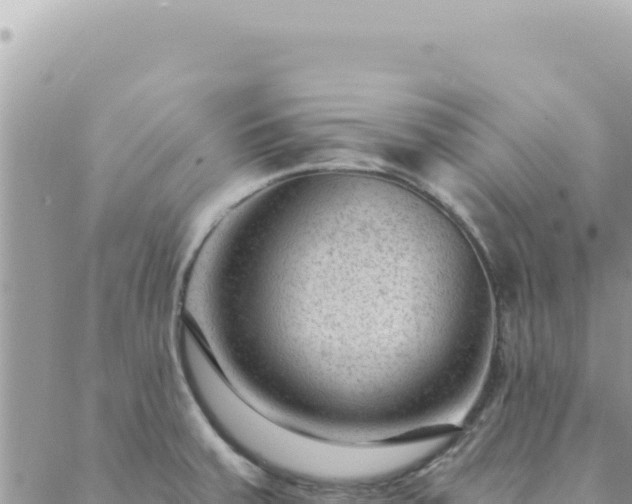 X0000088611379200706011217