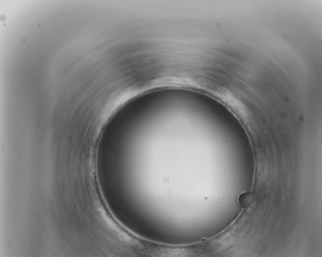 X0000088611382200706011217