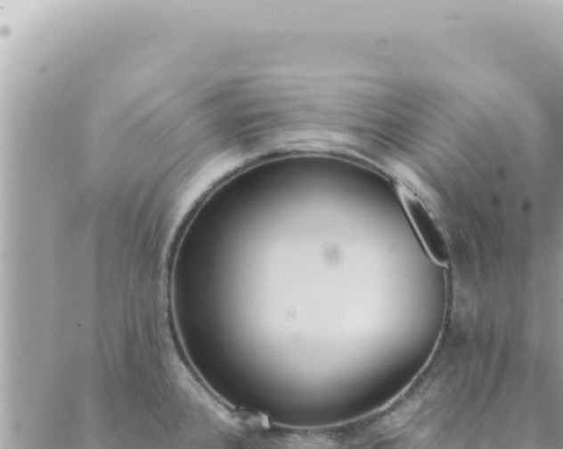 X0000088611384200706011217