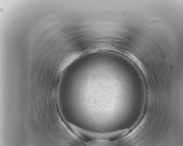 X0000088611385200706011217