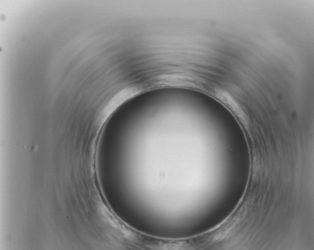 X0000088611386200706011217