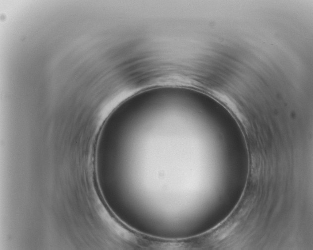 X0000088611387200706011217