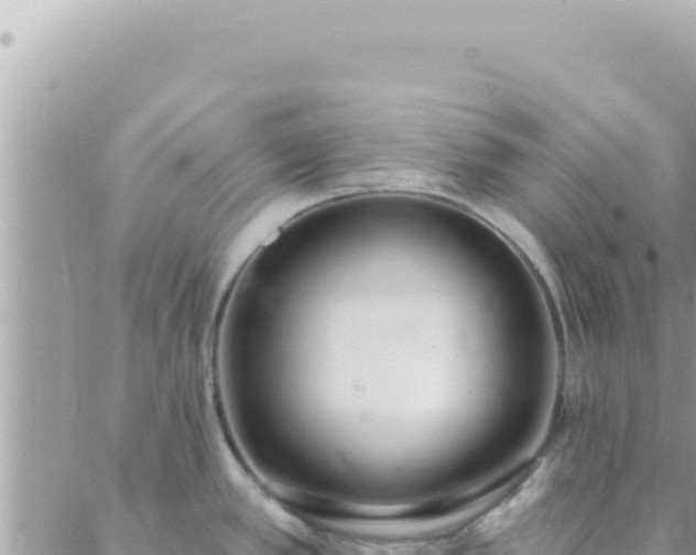 X0000088611389200706011216