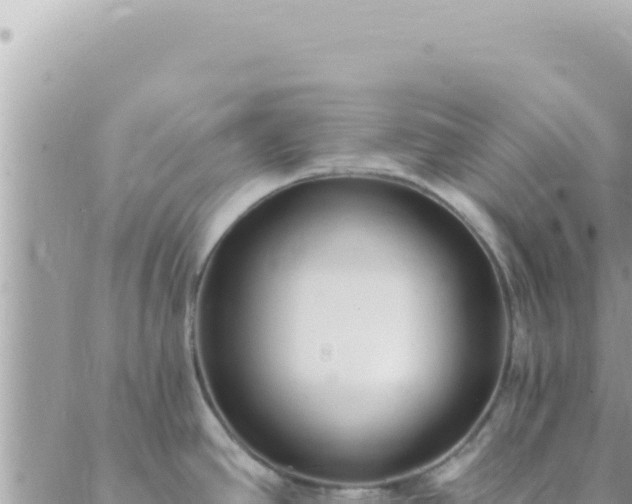 X0000088611390200706011216