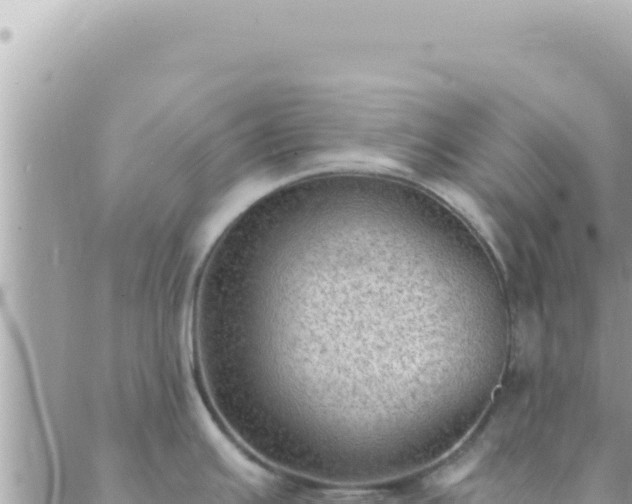 X0000088611391200706011216