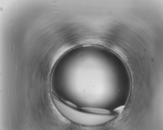 X0000088611392200706011216