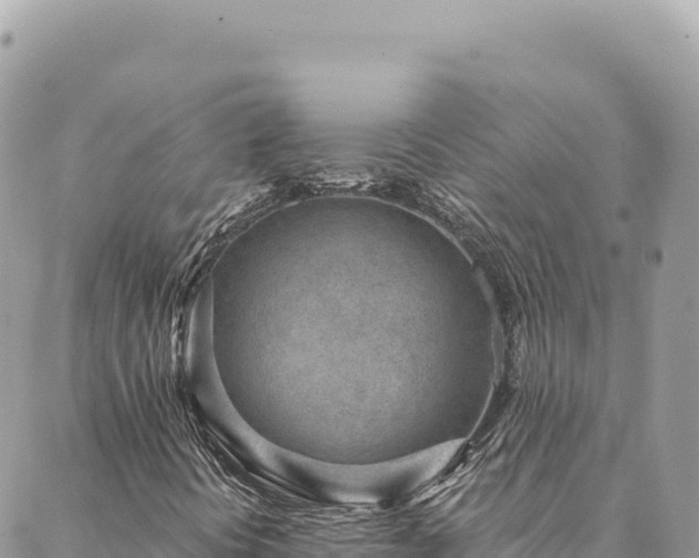 X0000088611394200706011216