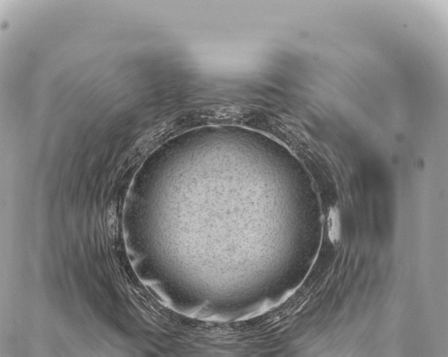 X0000088611395200706011216