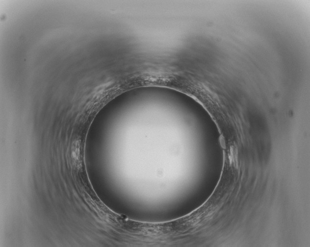 X0000088611396200706011216