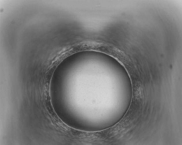 X0000088611397200706011216