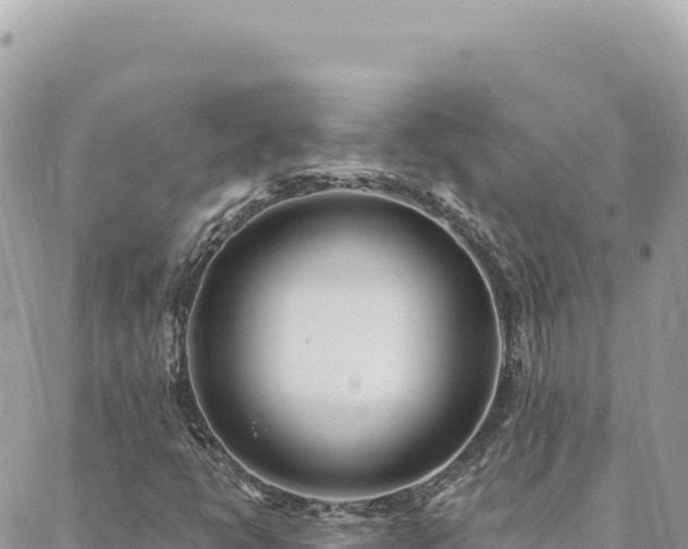 X0000088611398200706011216