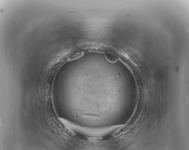 X0000088611399200706011216