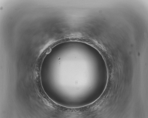 X0000088611400200706011216